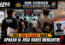Jika SIM Pejabat Habis, Apakah Hukum Juga Memintanya Mengantre?