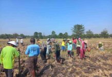 Polri dan Petani Tanam Jagung di Jombang, Ketahanan Pangan Dimulai dari Lahan Produktif