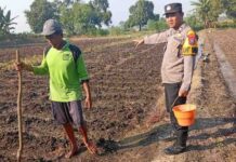 Polsek Kudu Dampingi Penanaman Benih Jagung Bantuan Dinas Pertanian di Jombang