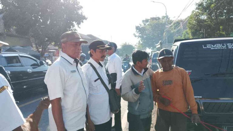 Pasar Kambing Pragaan Jadi Sorotan, 500 Ekor Ternak Masuk Tiap Pasaran Tapi Belum Berkontribusi Ke Pad