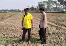 Bhabinkamtibmas Mojowarno Dampingi Petani, Dorong Ketahanan Pangan dari Lahan 1,5 Hektare