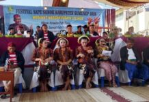 Sapi Sonok Jadi Warisan Budaya yang Terus Dirawat Pemkab Sumenep