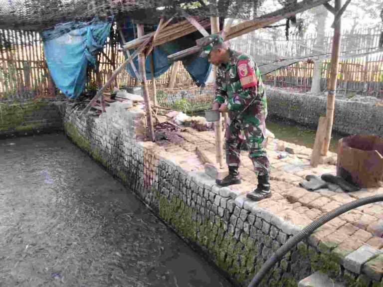 Babinsa Koramil Larangan Pamekasan Dampingi Warga Rawat 10 Kolam Lele Untuk Dukung Ketahanan Pangan