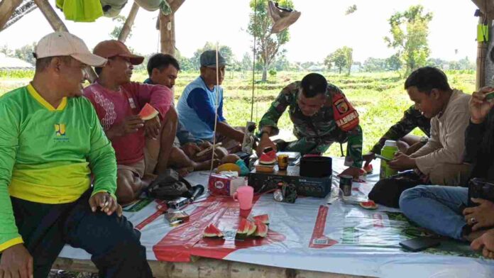 koramil-larangan-pamekasan-petani-semangka-peltong