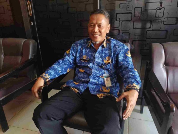 nur insan